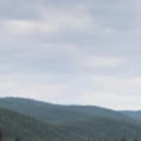 Meet your Posher, Rebecca - Picture 1 of 1